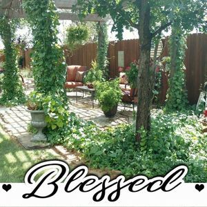 Meet your Posher, Jim